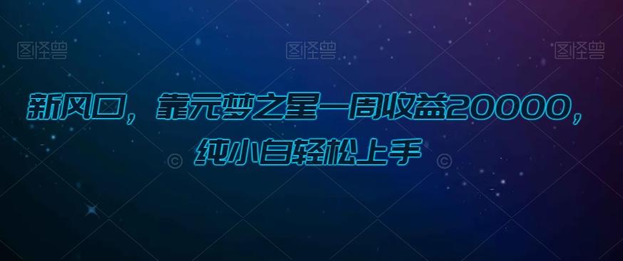 新风口，靠元梦之星一周收益20000，纯小白轻松上手-泱泱学习社