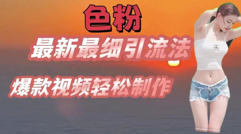 se粉最新最细引流法，七天螺旋起号法，爆款视频轻松制作【揭秘】-泱泱学习社