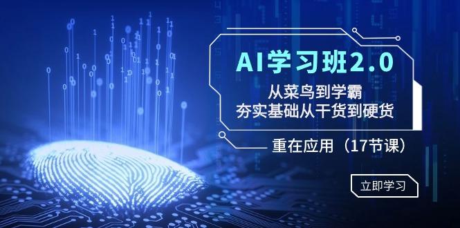 AI学习班2.0：从菜鸟到学霸，夯实基础从干货到硬货，重在应用(17节课)-泱泱学习社