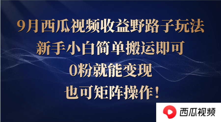 西瓜视频收益野路子玩法，新手小白简单搬运即可，0粉就能变现，也可矩…-泱泱学习社