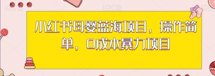 小红书母婴蓝海项目，操作简单，0成本暴力项目-泱泱学习社