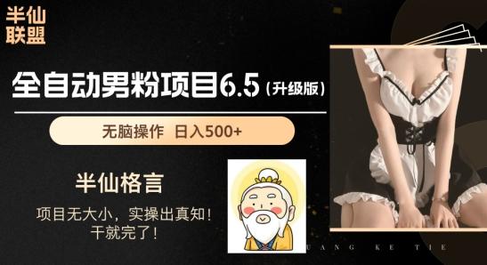 男粉项目6.5升级版，全自动男粉项目，日收入1K+【揭秘】-泱泱学习社