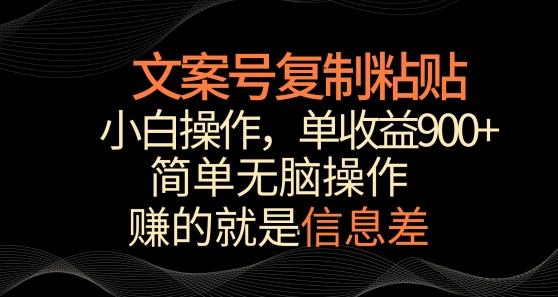 文案号掘金，简单复制粘贴，小白操作，单作品收益900+【揭秘】-泱泱学习社