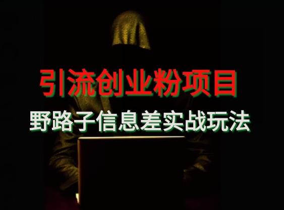 【引流创业粉】野路子信息差玩法实战教学-泱泱学习社