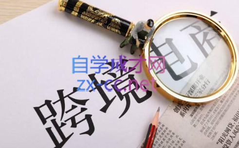 帮课大学VIP会员课程(更新2025年)-泱泱学习社