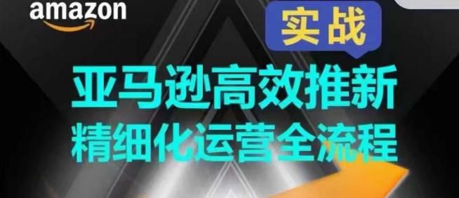 亚马逊高效推新精细化运营全流程，全方位、快速拉升产品排名和销量!-泱泱学习社