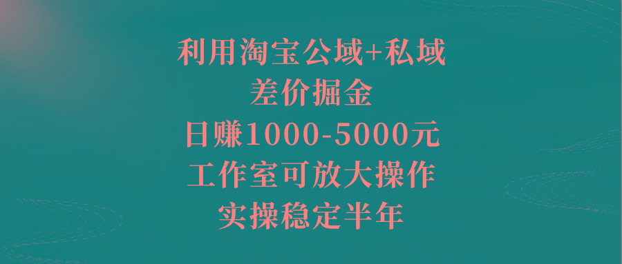 利用淘宝公域+私域差价掘金，日赚1000-5000元，工作室可放大操作，实操…-泱泱学习社