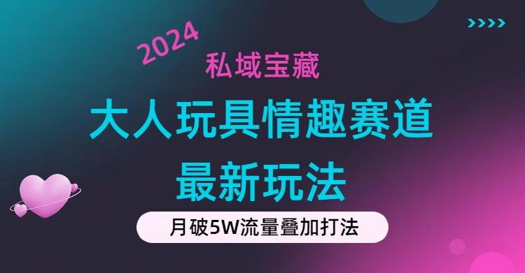 私域宝藏：大人玩具情趣赛道合规新玩法，零投入，私域超高流量成单率高-泱泱学习社