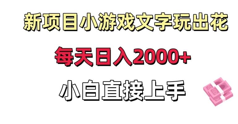 新项目小游戏文字玩出花日入2000+，每天只需一小时，小白直接上手【揭秘】-泱泱学习社