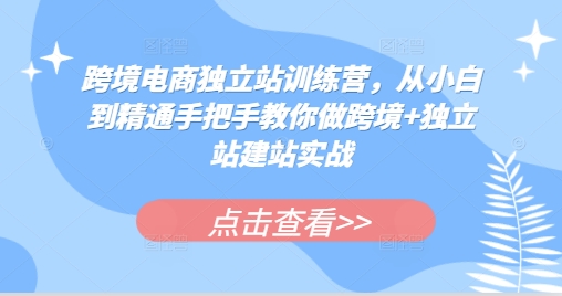 跨境电商独立站训练营，从小白到精通手把手教你做跨境+独立站建站实战-泱泱学习社