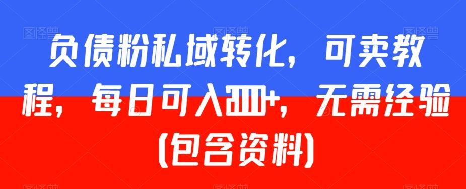 负债粉私域转化，可卖教程，每日可入2000+，无需经验（包含资料）【揭秘】-泱泱学习社