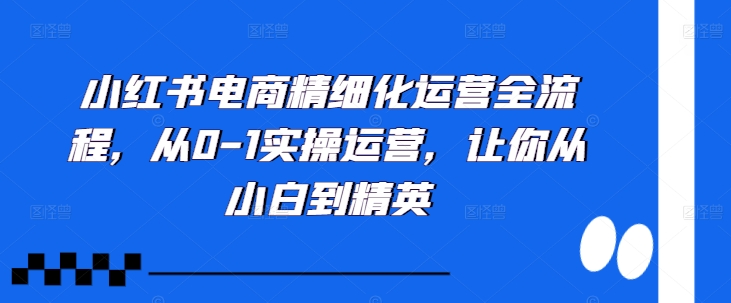 小红书电商精细化运营全流程，从0-1实操运营，让你从小白到精英-泱泱学习社