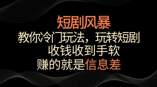 短剧风暴，教你冷门玩法，玩转短剧，收钱收到手软【揭秘】-泱泱学习社