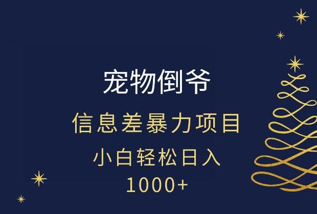 宠物倒爷，暴利的信息差项目，足不出户就有客户，年轻人都喜欢宠物！-泱泱学习社