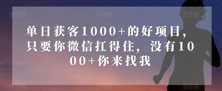 单日获客1000+的好项目，只要你微信扛得住，没有1000+你来找我【揭秘】-泱泱学习社