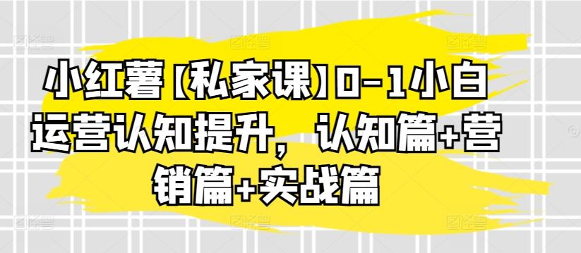 小红薯【私家课】0-1小白运营认知提升，认知篇+营销篇+实战篇-泱泱学习社