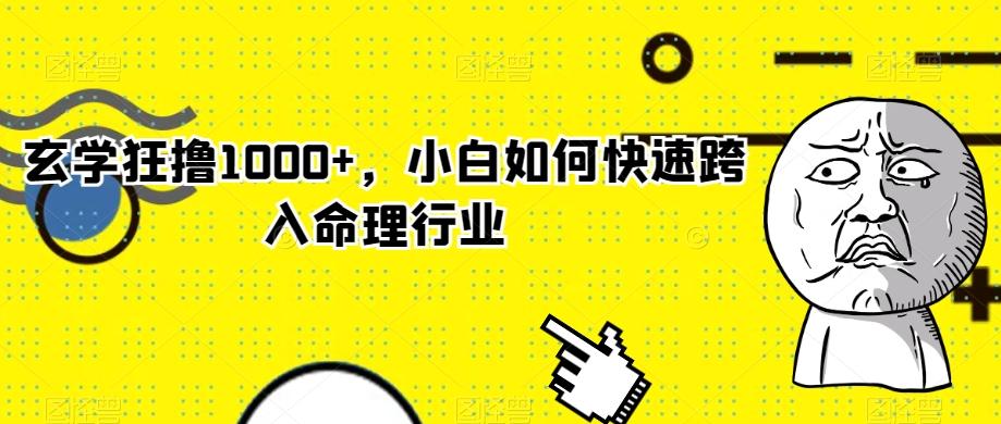 玄学狂撸1000+，小白如何快速跨入命理行业-泱泱学习社