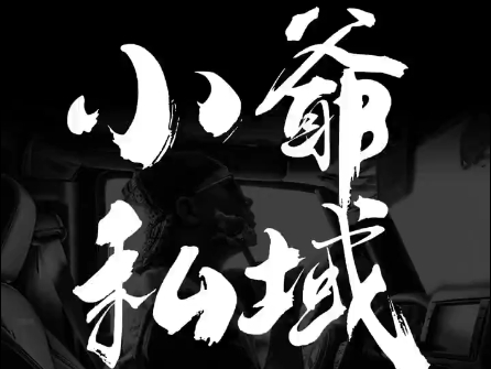 小爷·私域项目操盘手-泱泱学习社