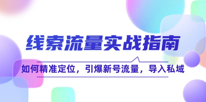 线 索 流 量-实战指南：如何精准定位，引爆新号流量，导入私域-泱泱学习社