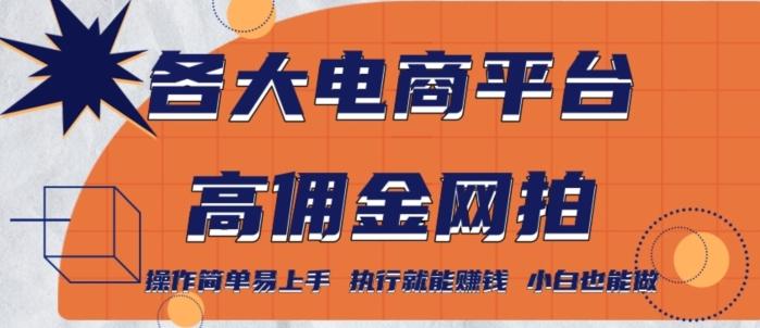 各大电商平台高佣金网拍，操作简单易上手，执行就能赚钱，小白也能做-泱泱学习社