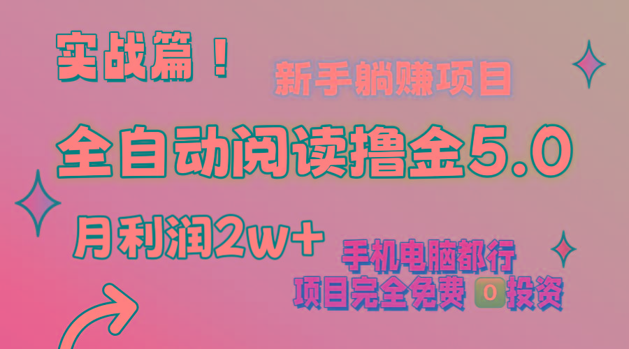 小说全自动阅读撸金5.0 操作简单 可批量操作 零门槛！小白无脑上手月入2w+-泱泱学习社