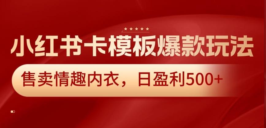 小红书卡模板爆款玩法，售卖情趣内衣，日盈利500+【揭秘】-泱泱学习社
