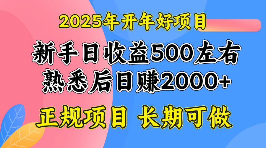 2025开年好项目，单号日收益2000左右-泱泱学习社