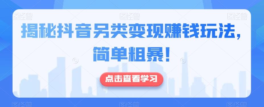 揭秘抖音另类变现赚钱玩法，简单粗暴！-泱泱学习社