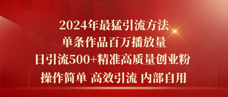 2024年最猛暴力引流方法，单条作品百万播放 单日引流500+高质量精准创业粉-泱泱学习社