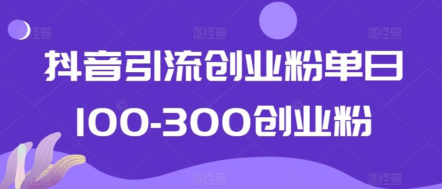 抖音引流创业粉单日100-300创业粉【揭秘】-泱泱学习社