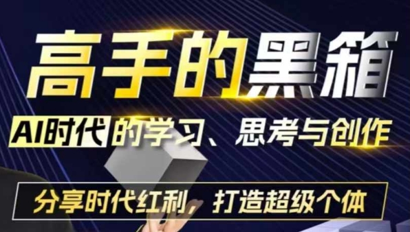 高手的黑箱：AI时代学习、思考与创作-分红时代红利，打造超级个体-泱泱学习社