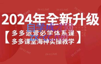 海神老师·拼多多运营必学体系课-泱泱学习社