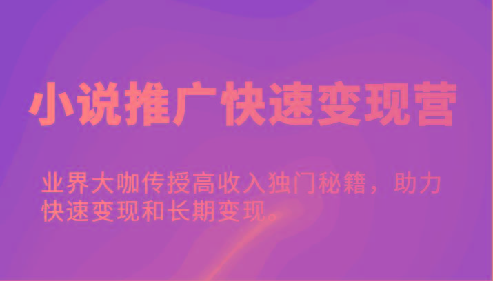 小说推广快速变现营-业界大咖传授高收入独门秘籍，助力快速变现和长期变现。-泱泱学习社