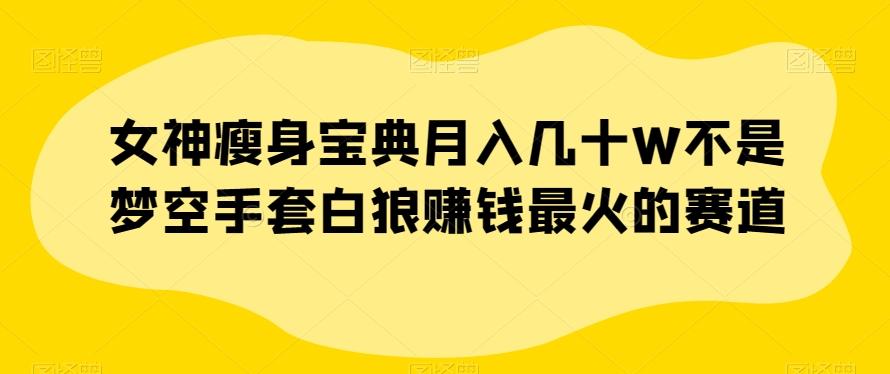 女神瘦身宝典月入几十W不是梦空手套白狼赚钱最火的赛道【揭秘】-泱泱学习社