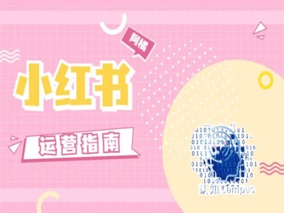小红书运营指南，没有套路，全是经验-泱泱学习社