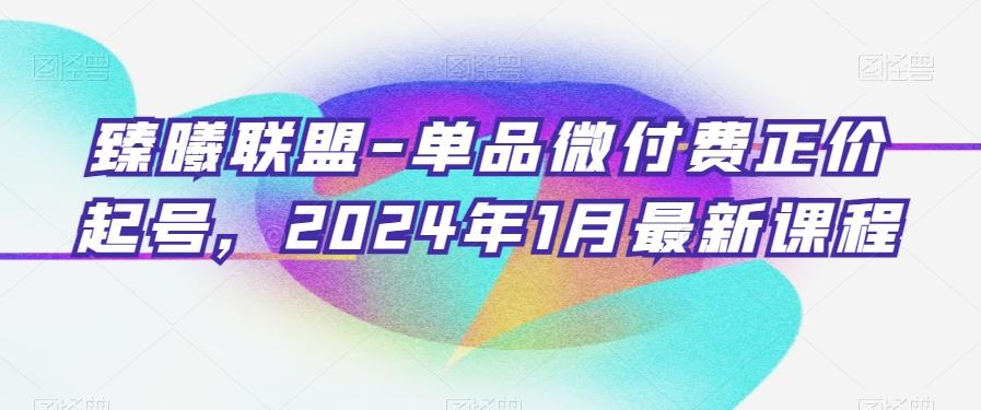 臻曦联盟-单品微付费正价起号，2024年1月最新课程-泱泱学习社