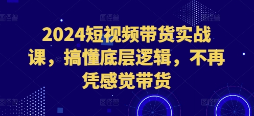 2024短视频带货实战课，搞懂底层逻辑，不再凭感觉带货-泱泱学习社