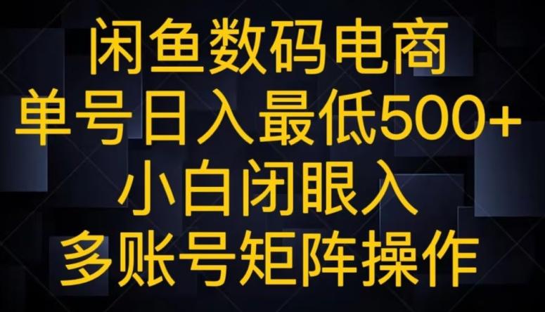 闲鱼数码电商，单号日入最低500+，小白闭眼入，多账号矩阵操作-泱泱学习社