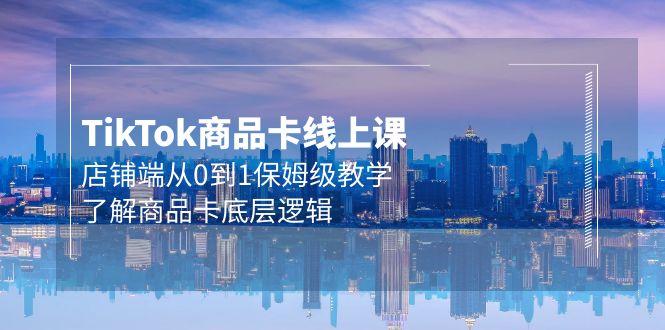 (9843期)Tk商品卡线上课，店铺端从0到1保姆级教学，了解商品卡底层逻辑(20节)-泱泱学习社