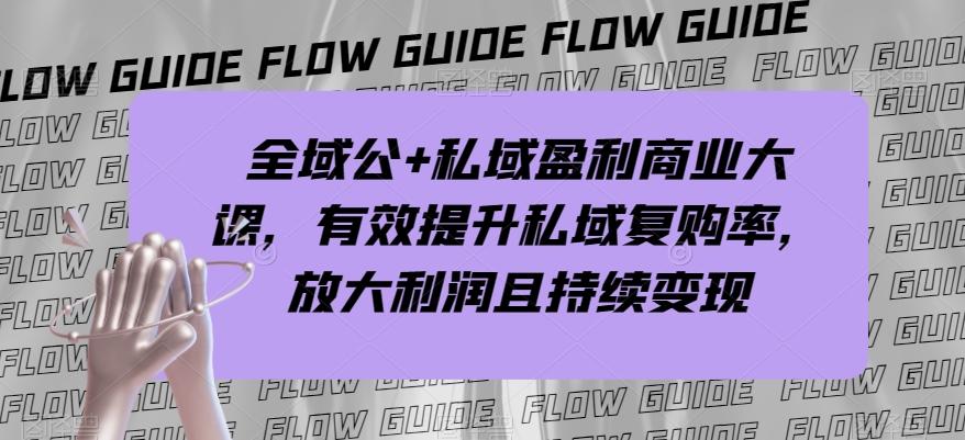 全域公+私域盈利商业大课，有效提升私域复购率，放大利润且持续变现-泱泱学习社