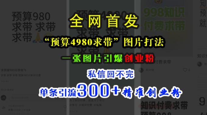 小红书“预算4980带我飞”图片打法，一张图片引爆创业粉，私信回不完，单条引流300+精准创业粉-泱泱学习社