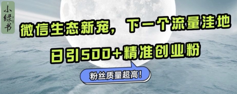 微信生态新宠小绿书：下一个流量洼地，日引500+精准创业粉，粉丝质量超高-泱泱学习社
