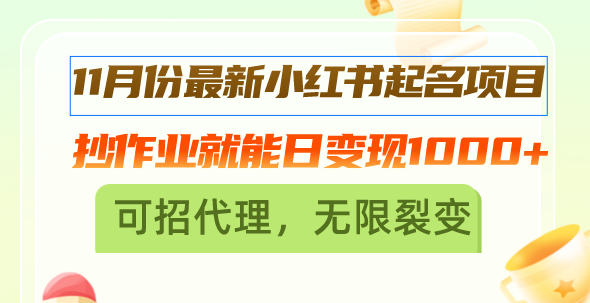 11月份最新小红书起名项目，抄作业就能日变现1000+，可招代理，无限裂变-泱泱学习社