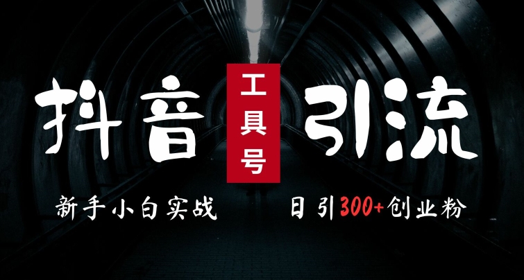 2024最新抖音工具号引流玩法，高效日引300+创业粉，当天变现5k，小白也可成为实战高手-泱泱学习社