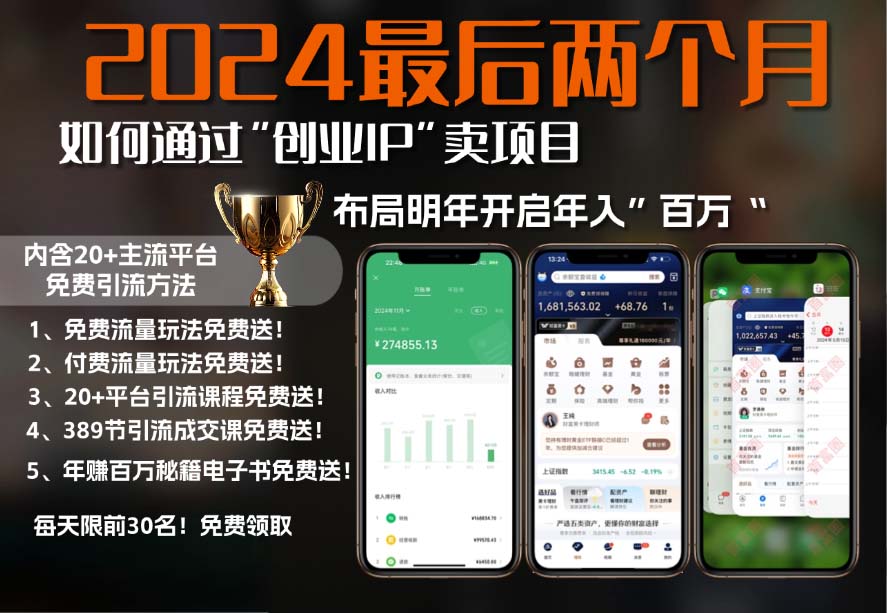2024最后两个月如何通过”创业IP“卖项目年入”百万“,创业IP+最强引流…-泱泱学习社