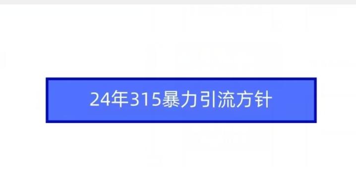 24年315暴力引流方针-泱泱学习社