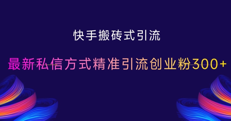 快手搬砖式引流，最新私信方式精准引流创业粉300+-泱泱学习社