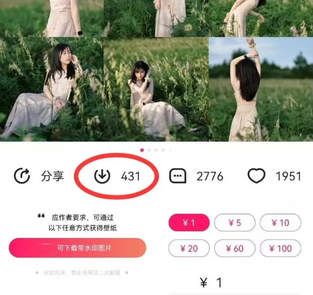 最新图虫搬运项目，收益无上限，利用AI小白也可日赚500+-泱泱学习社