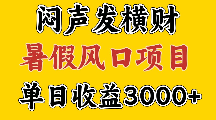 30天赚了7.5W 暑假风口项目，比较好学，2天左右上手-泱泱学习社