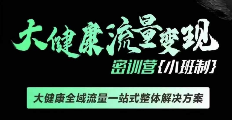 千万级大健康变现课线下课，大健康全域流量一站式整体解决方案-泱泱学习社